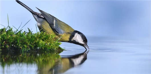 移民<a style='color:#268bd1;cursor:pointer;' href='/mshh.html'>德國生活</a>，那么你一定要適應“飲用水”食物