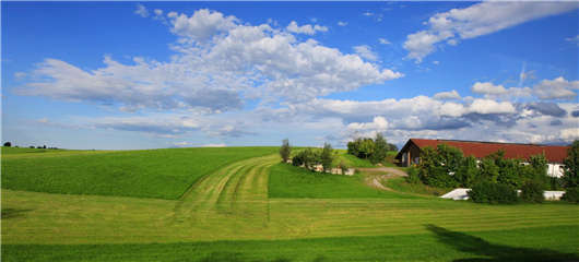 德國車輛的不同，卻深受國內人民喜愛（上）