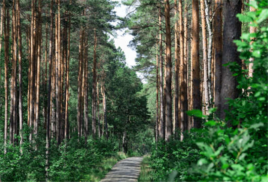 德國就業市場的十大事實與工作簽費用介紹