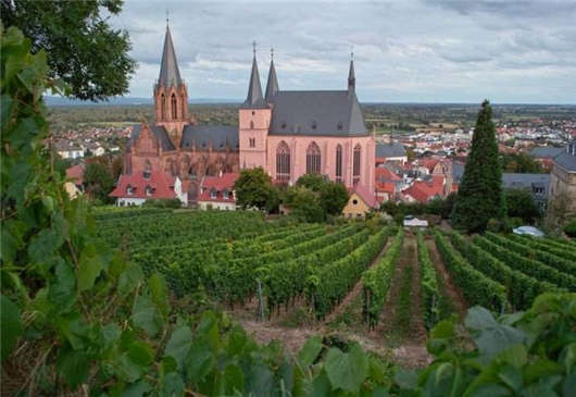 德國(guó)女性產(chǎn)假和工作保護(hù)