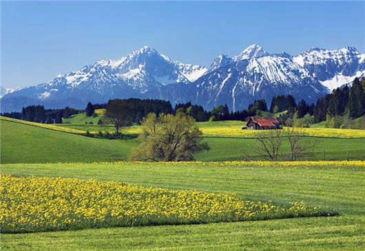 移民福利，豐厚的德國(guó)養(yǎng)老待遇