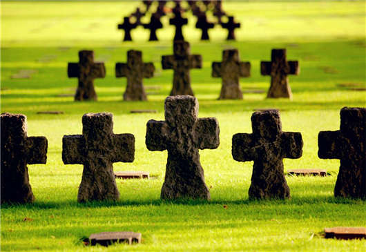 德國醫療保健系統