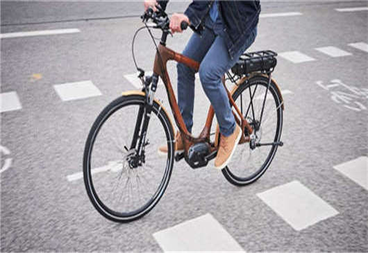 德國電動(dòng)汽車支持計(jì)劃延長