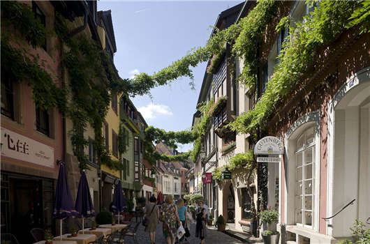 申請德國技術移民簽證，高調定居德國生活