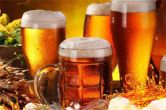 德國啤酒有多少種類嗎？
