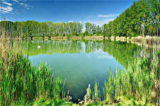 移民政策變化，未來這兩種人收益