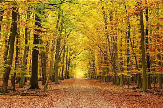 德國法人簽證適宜人群分析，看看您是否適合這個(gè)國家那？