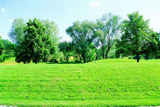 德國移民入籍指南，條件及相關文件介紹！