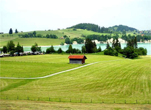 德國(guó)移民方式之德國(guó)結(jié)婚移民介紹